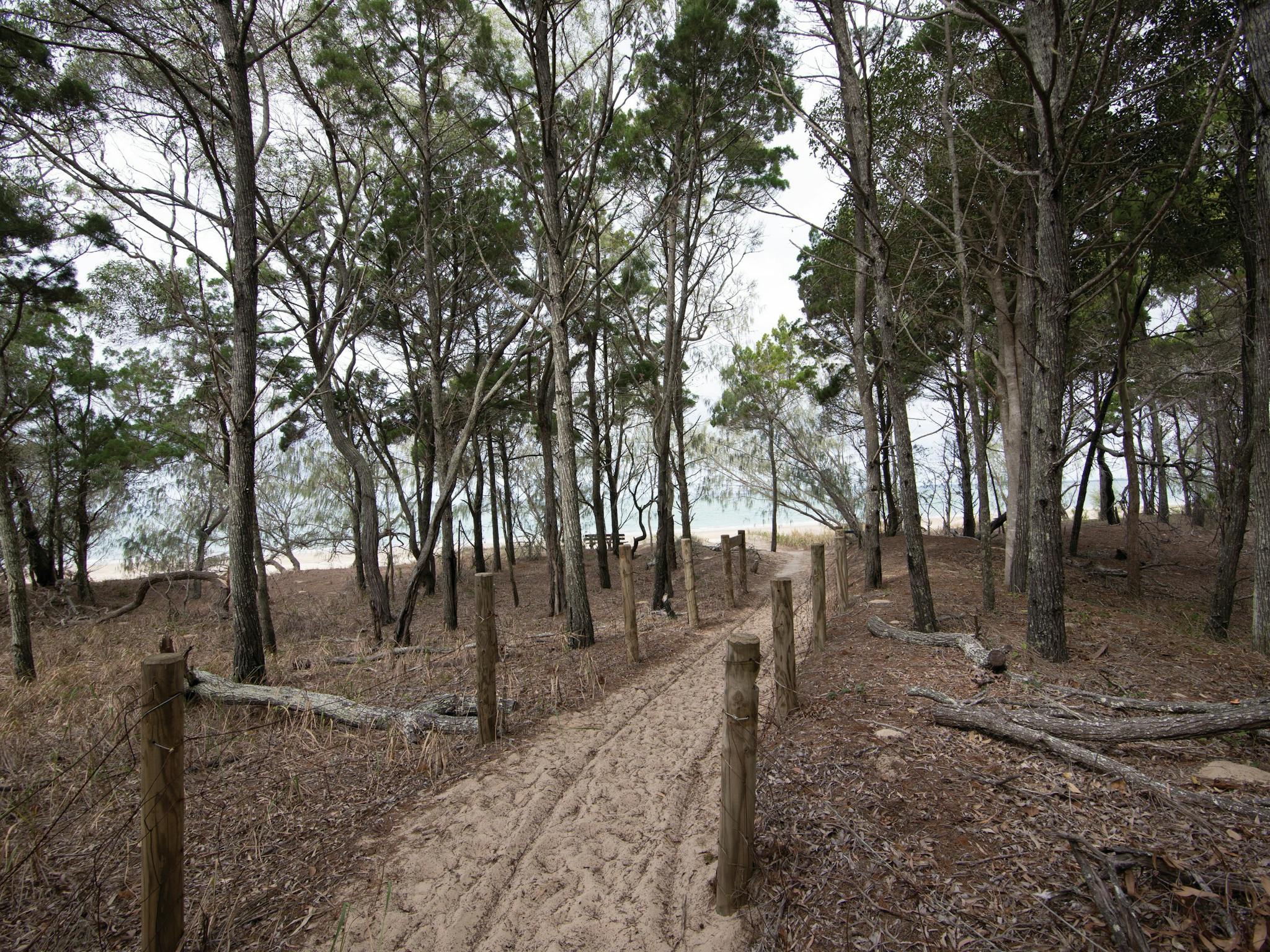 Camping areas beside the ebach.