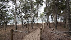 Camping areas beside the ebach.