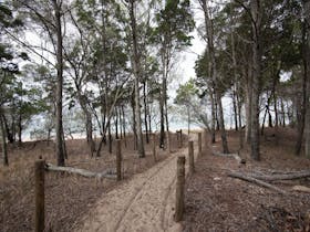 Burrum Coast National Park