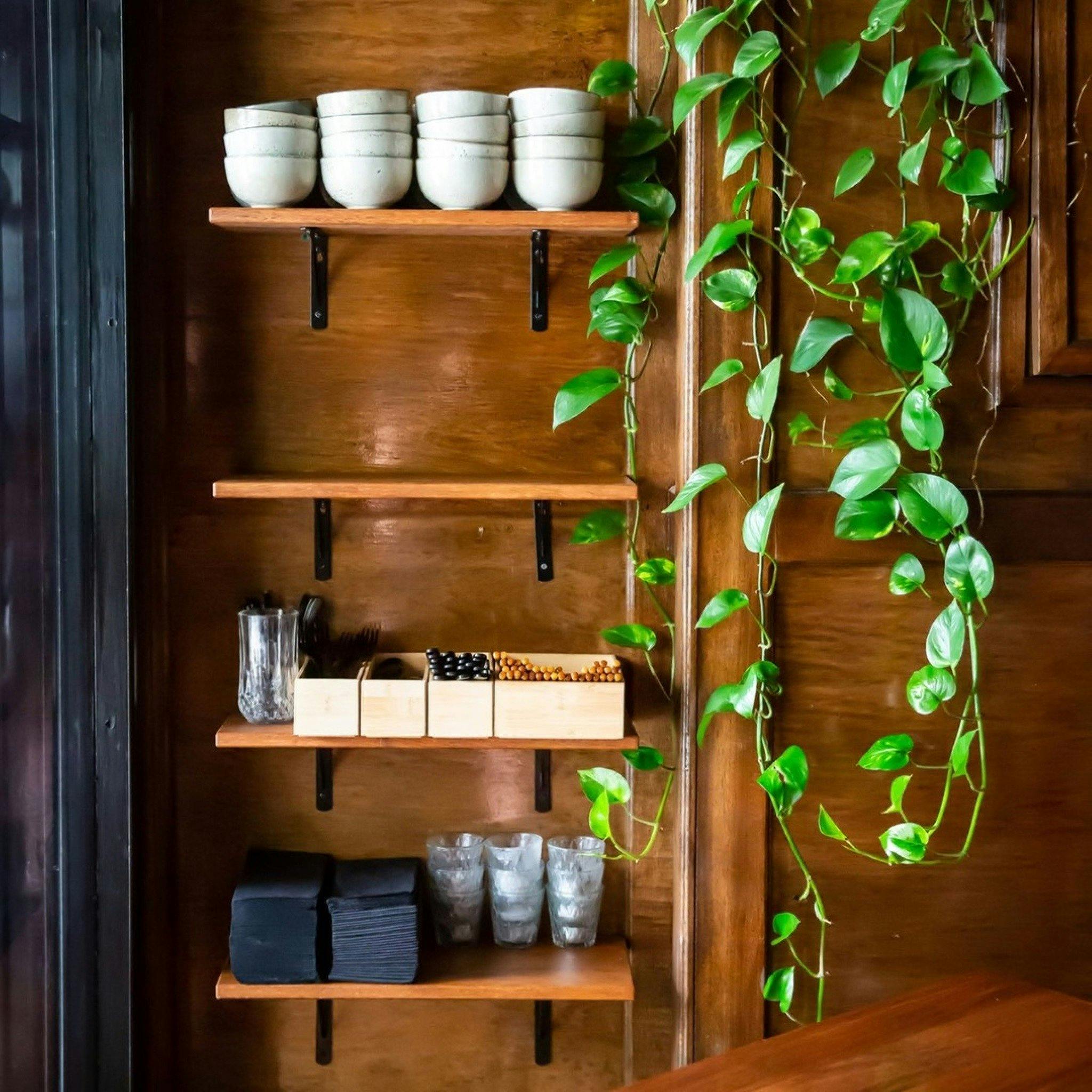 ナイトオウムウロンゴン