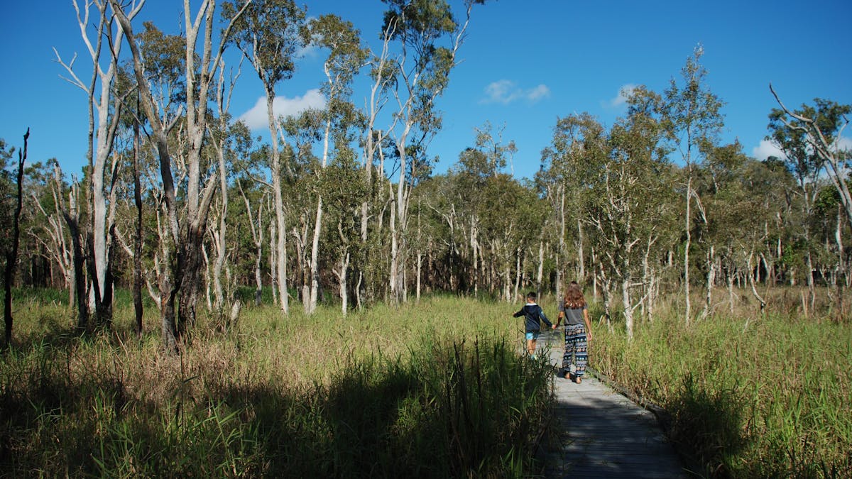 photo of two children walking along boardwalk at Fay Smith Wetlands