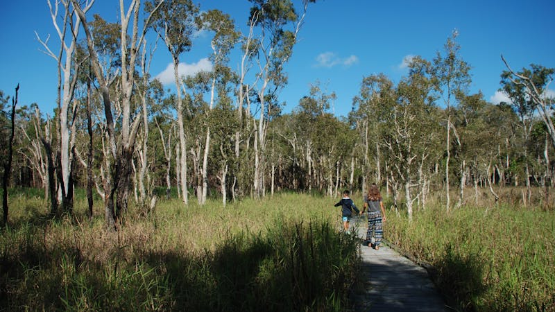 Fay Smith Wetlands