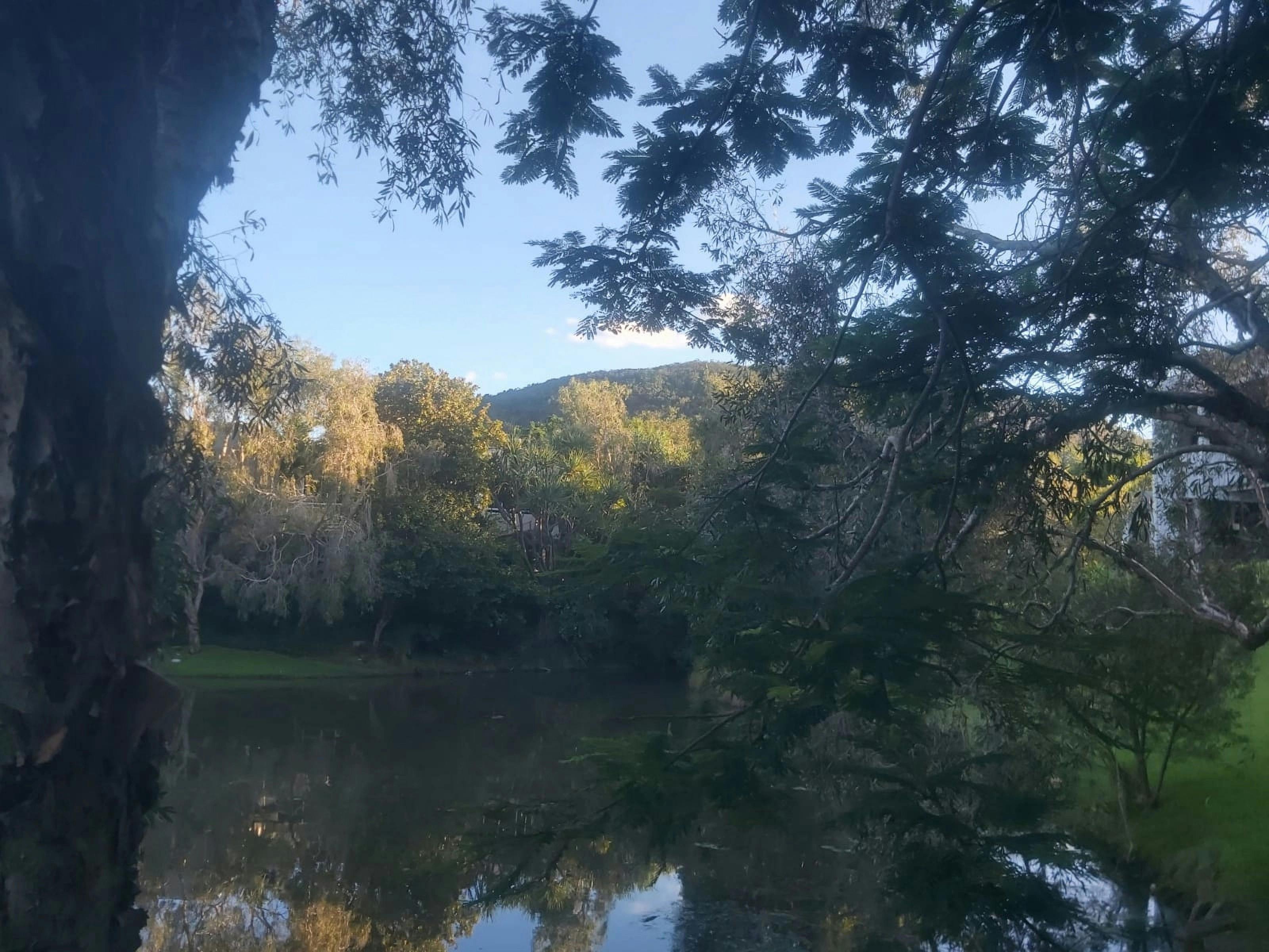 Tomorrow morning- walk Mount Coolum