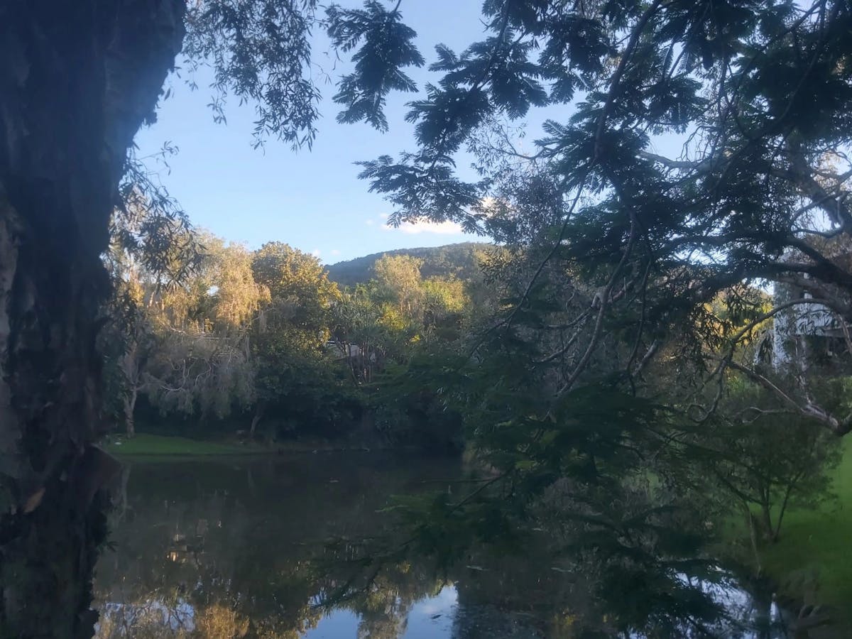 View from home to Mount Coolum