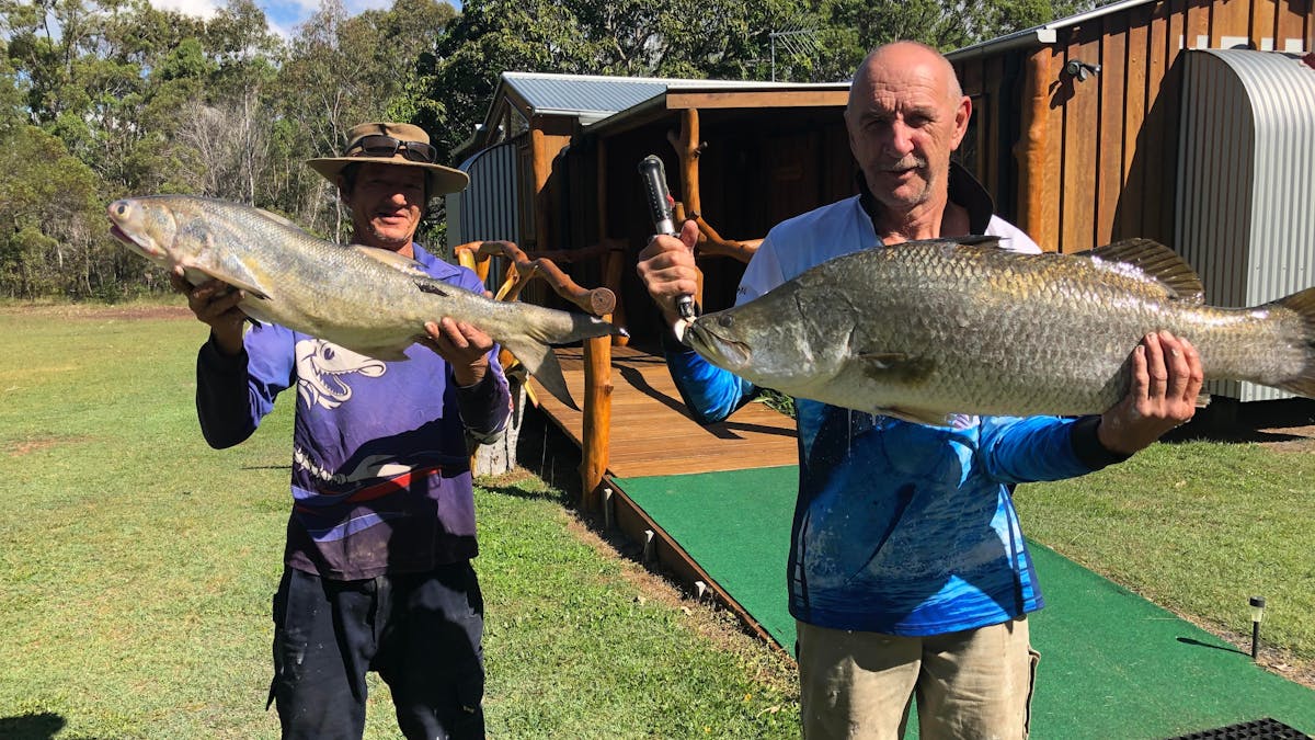 Fresh Barramundi for dinner caught out the back