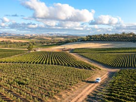 4WD through Two Hands exclusive vineyard locations