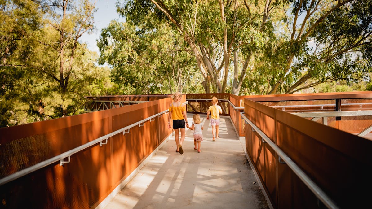 Tree Walk