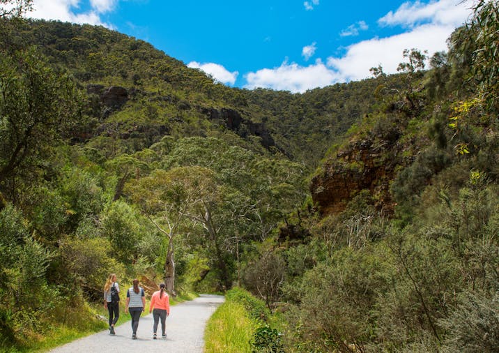 Morialta Wilderness and Wildlife Hike