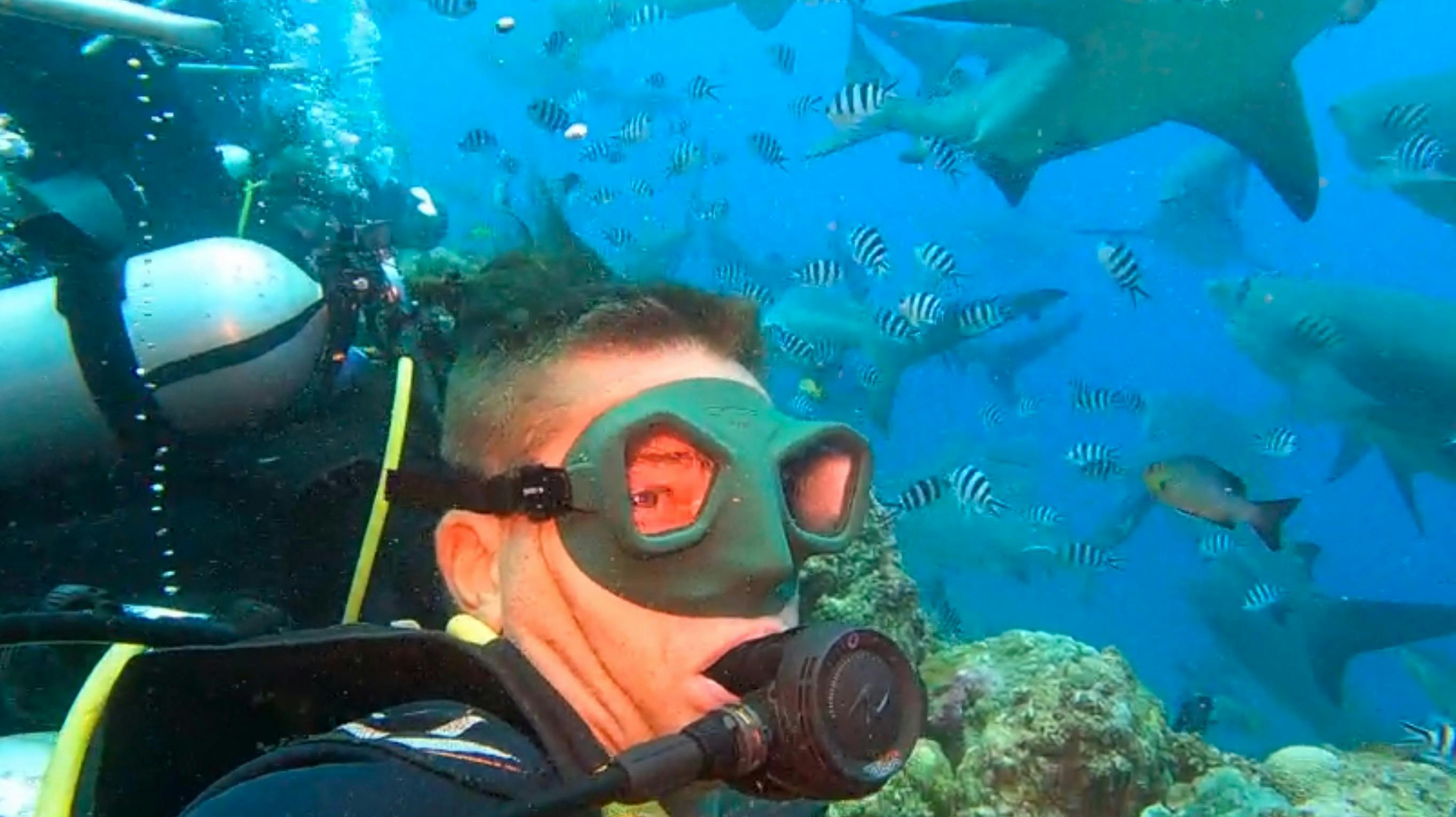 Beqa Adventure Divers