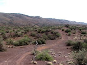4WD track through shale landscape with mountians in distance and low acacias in foreground