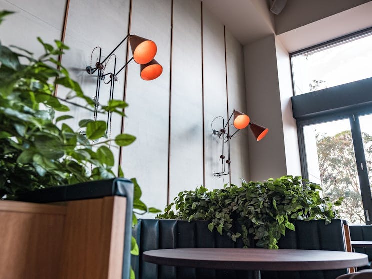 Interior shots of blue leather booths with greenery between at Rick Stein at Bannisters