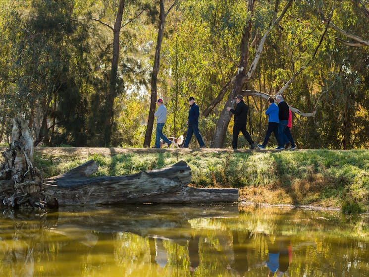 Marrambidya Wetland, Wagga Wagga