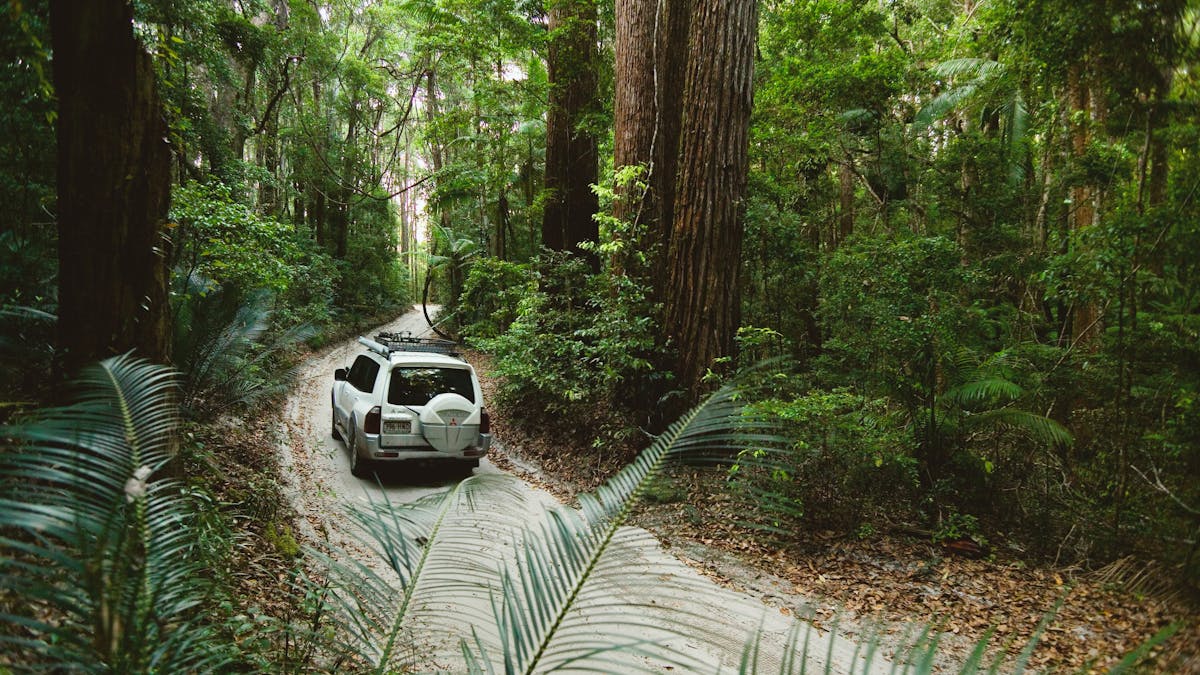 photo showing a 4wd vehicle driving along a sandy road in forest on Fraser Island