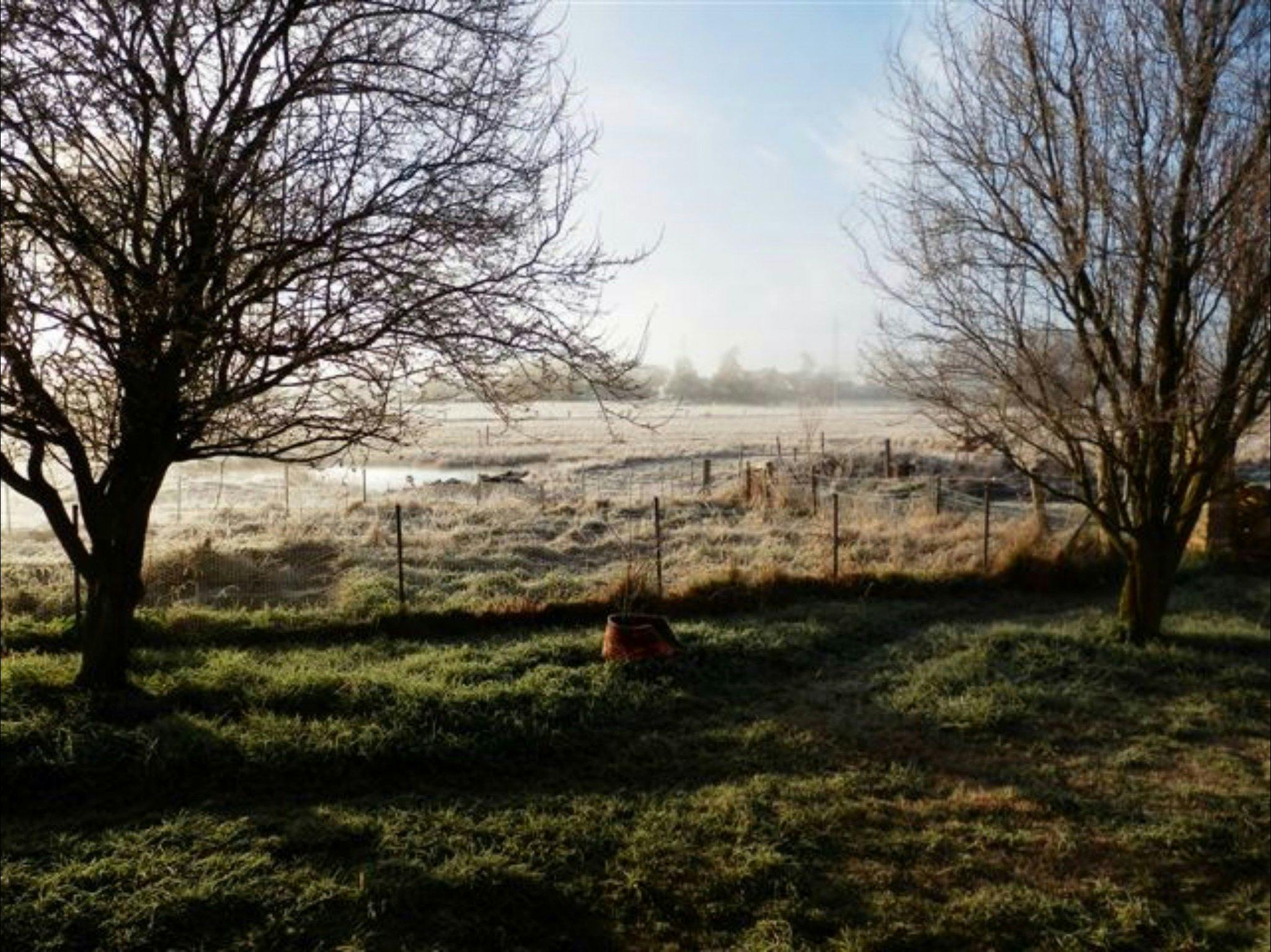 Jannei Artisan-Käse