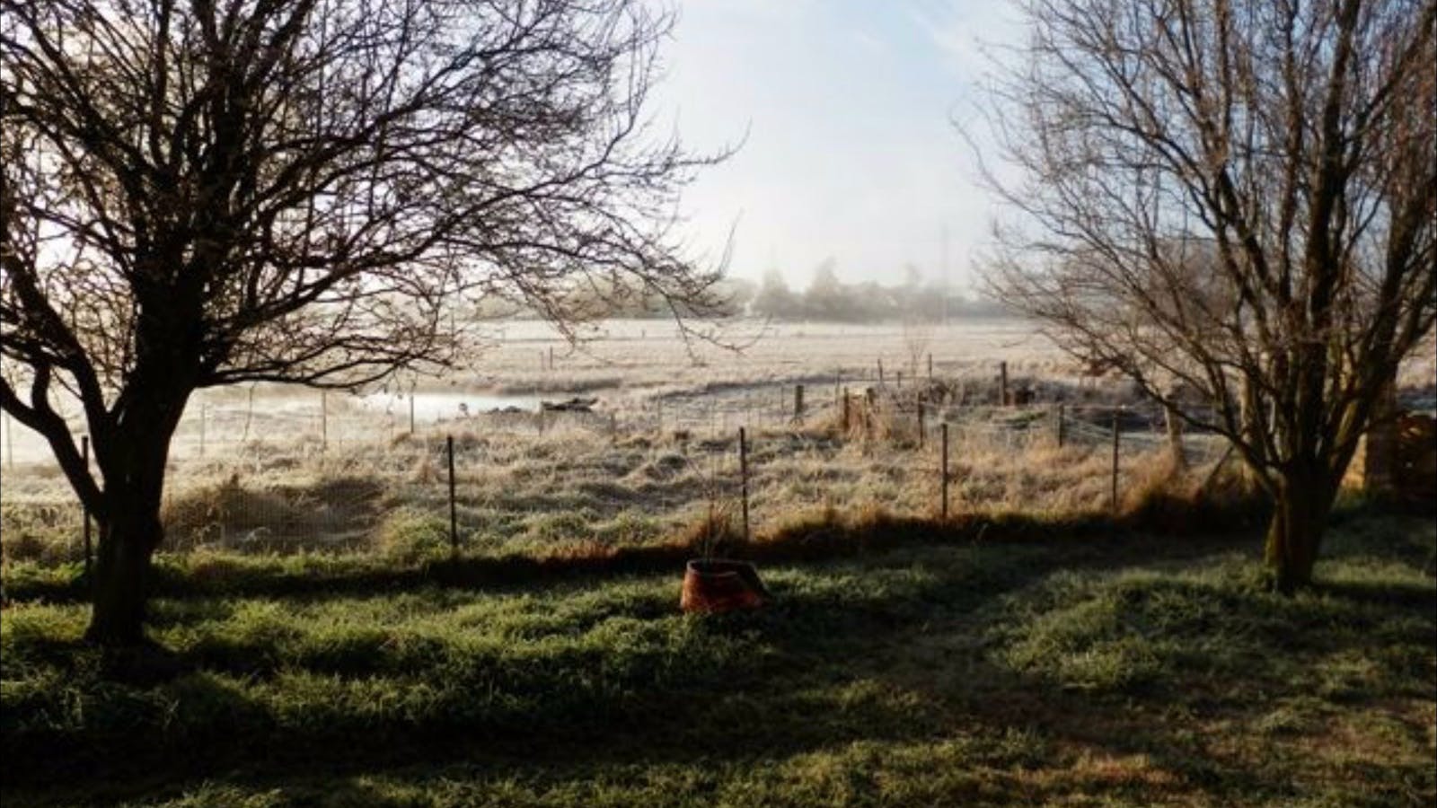 Jannei Goat Dairy
