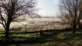 Jannei Goat Dairy