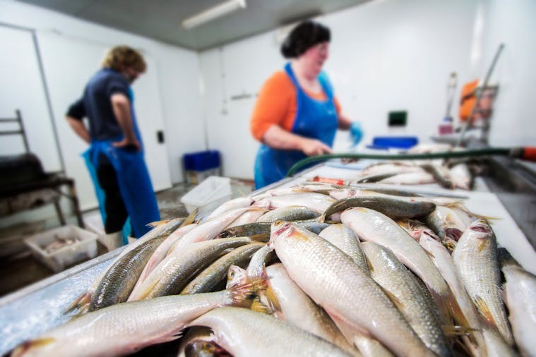 Tastes Of The Coorong