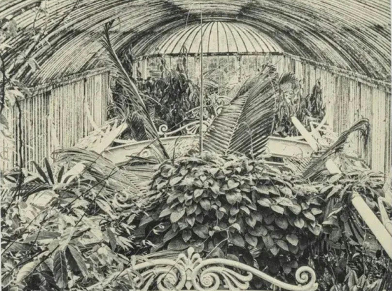 Black and white photogravure of a garden