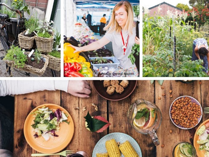 A Taste of Food Matters