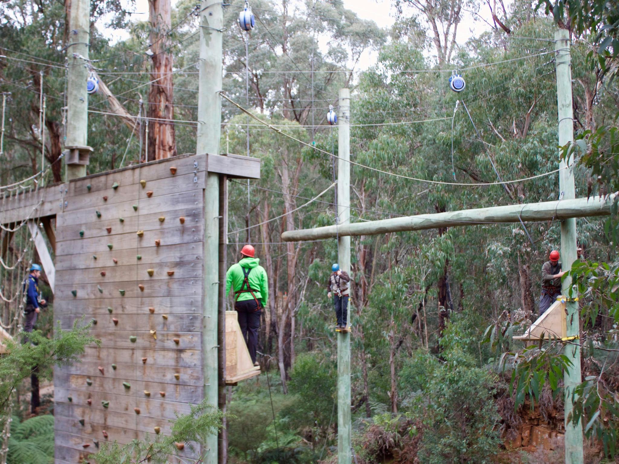 tree top experiences