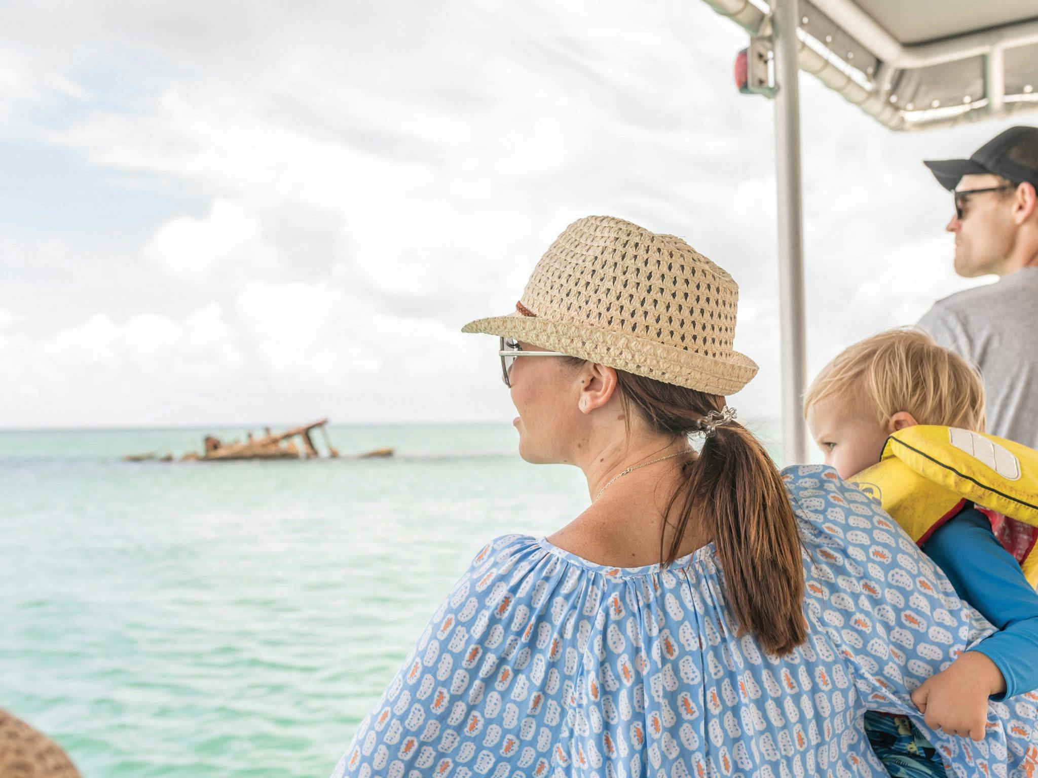 Dolphin Feeding Day Cruise