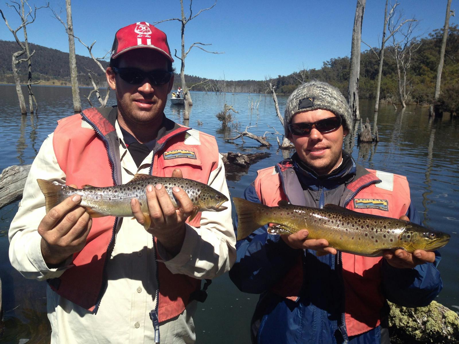 Woods lake wild brown trout.