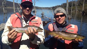 Woods lake wild brown trout.