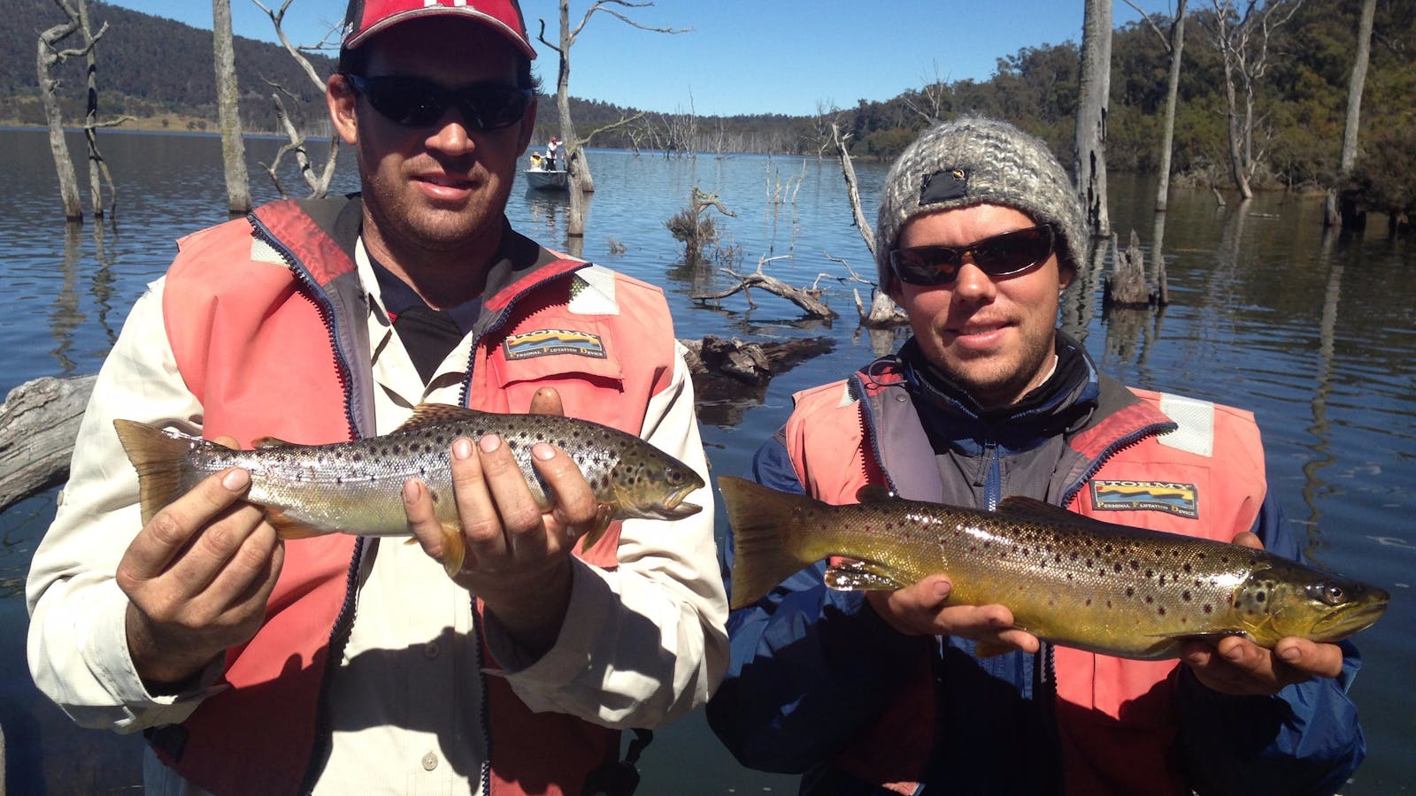 Woods lake wild brown trout.