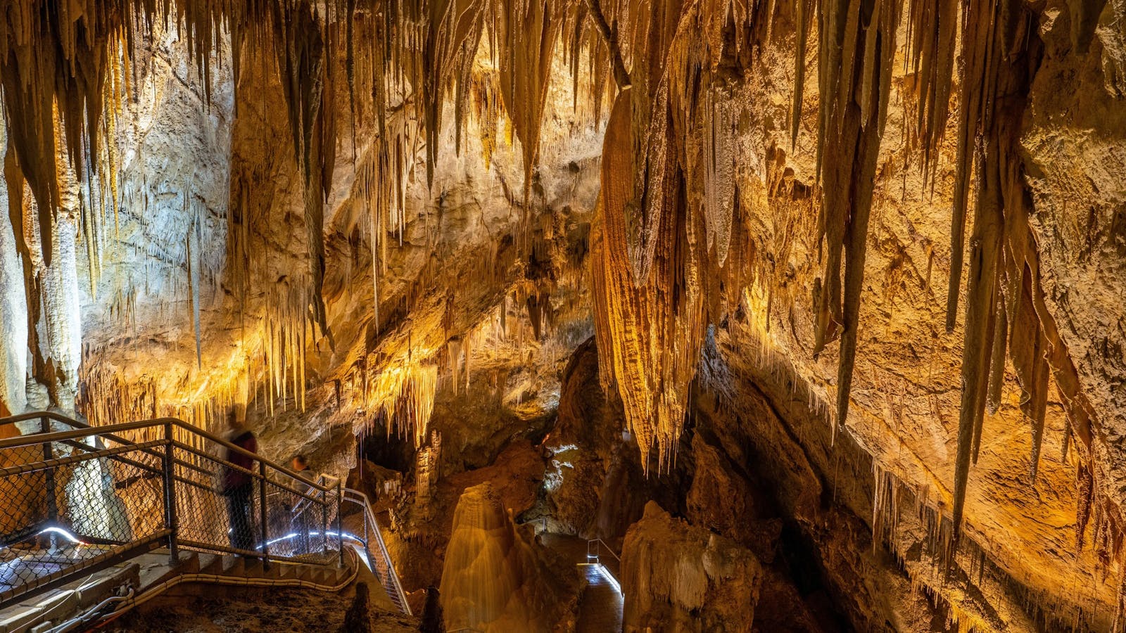 Newdegate Cave, Hastings Caves State Reserve.