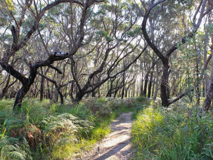 Pot Holes walking track