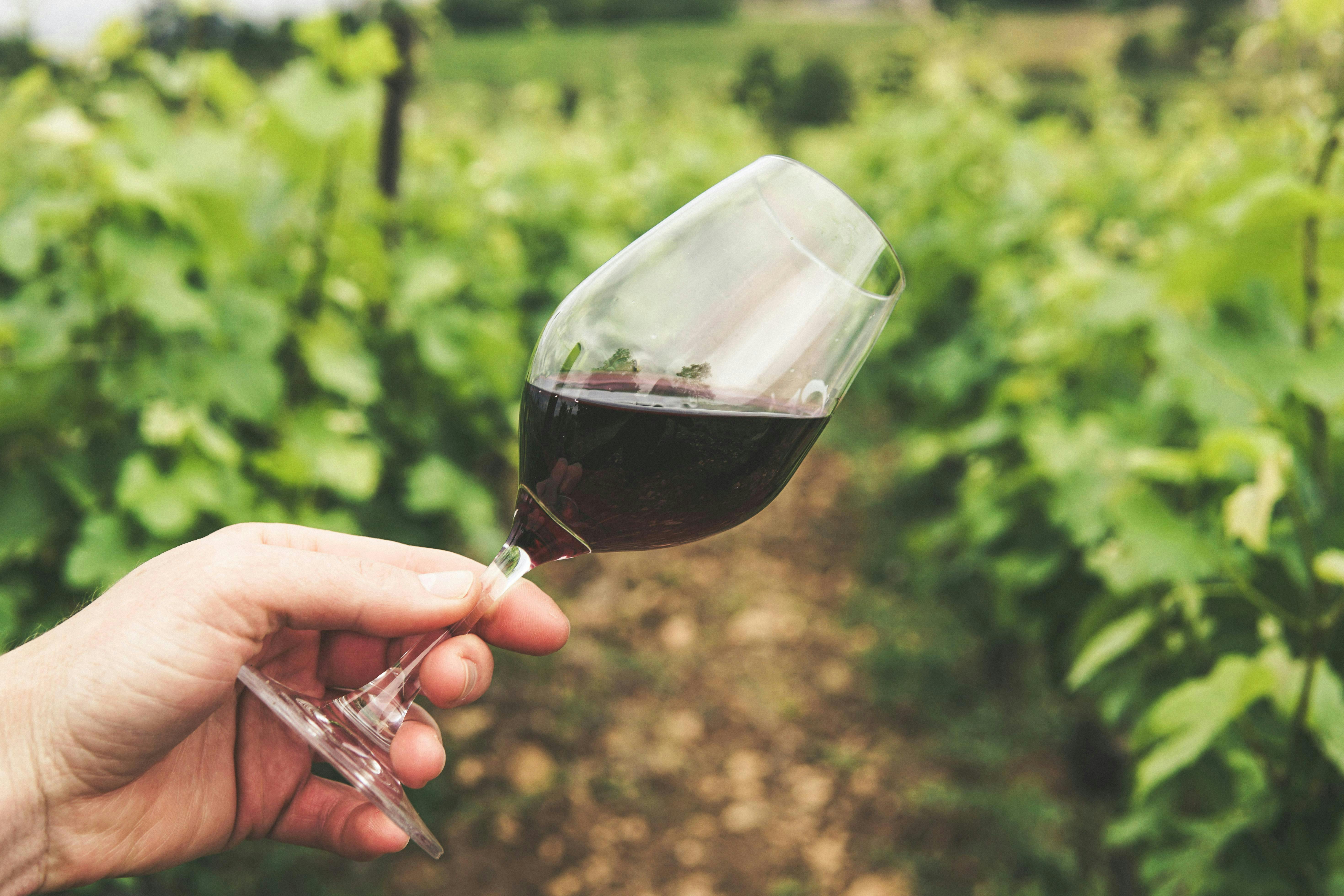 Hand holding glass of wine
