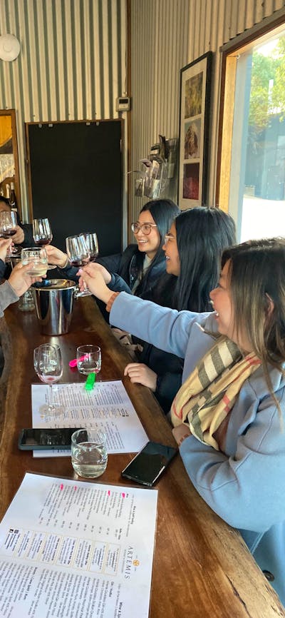 Southern Highlands Wine Tour, Vino Rosso Tours