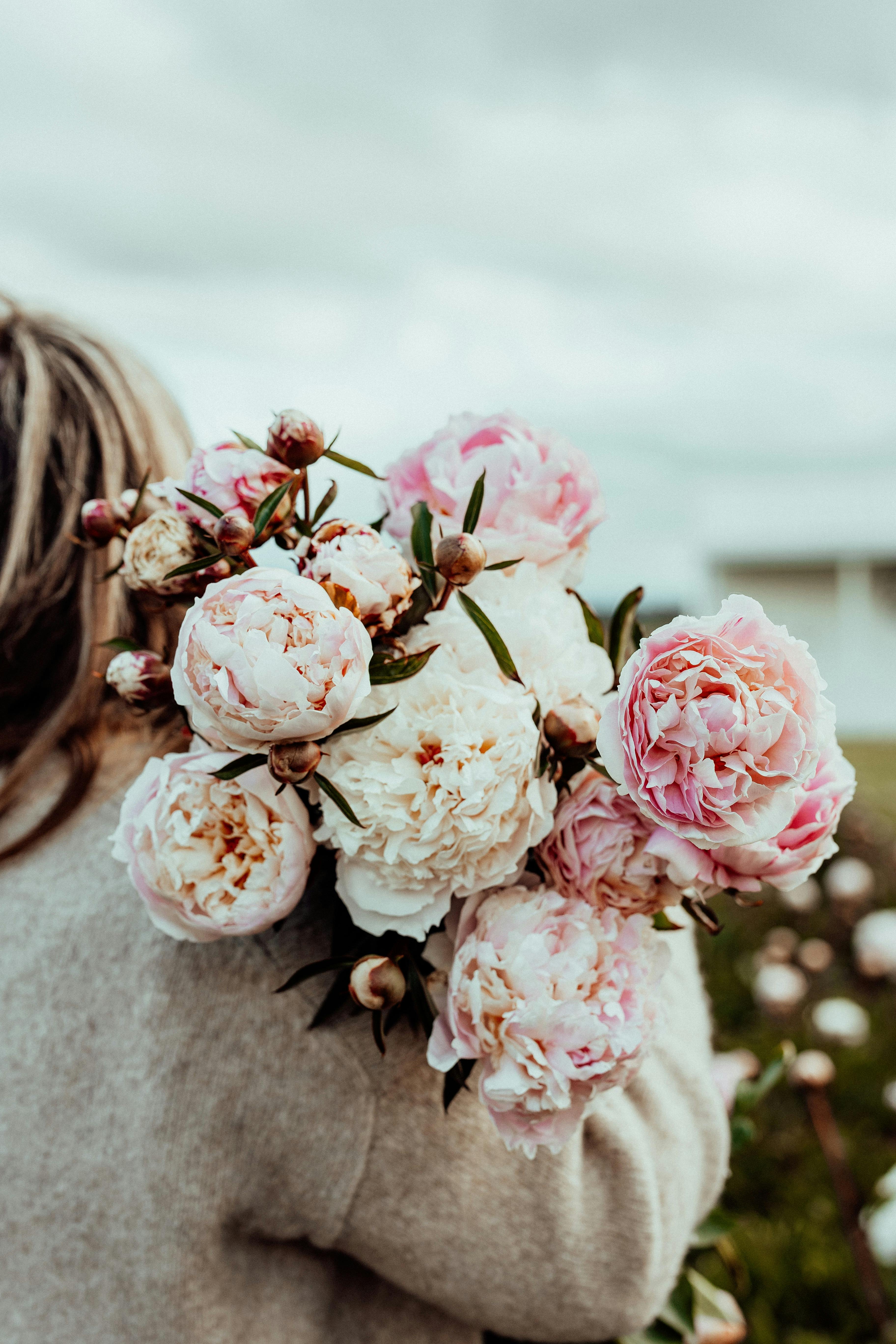 Peony Garden