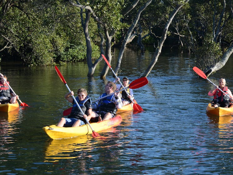 Kayaking amongst Mangroves