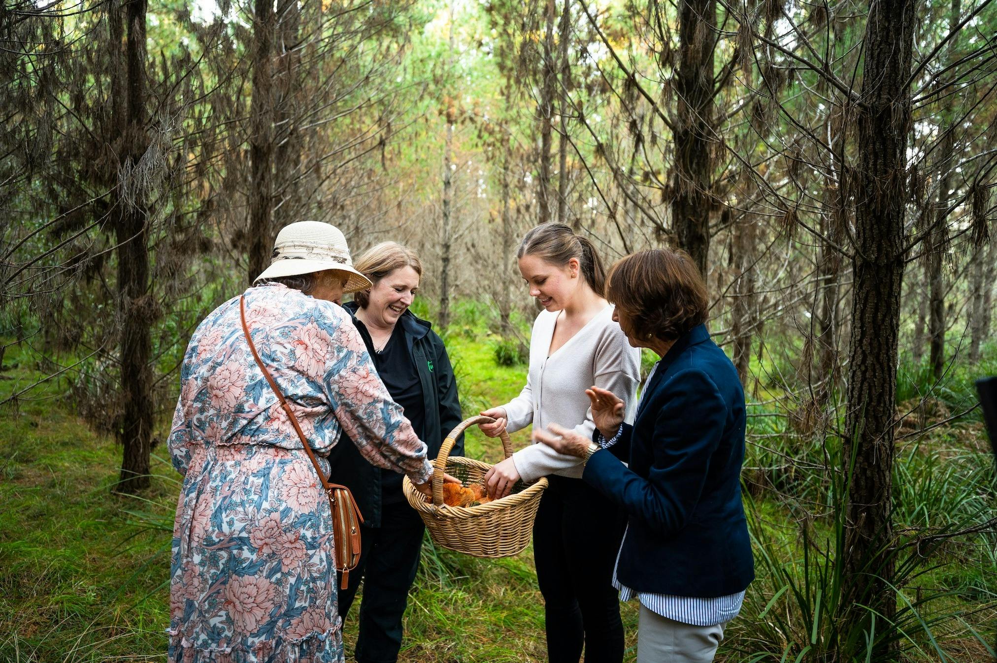 Mushroom Foraging Workshops