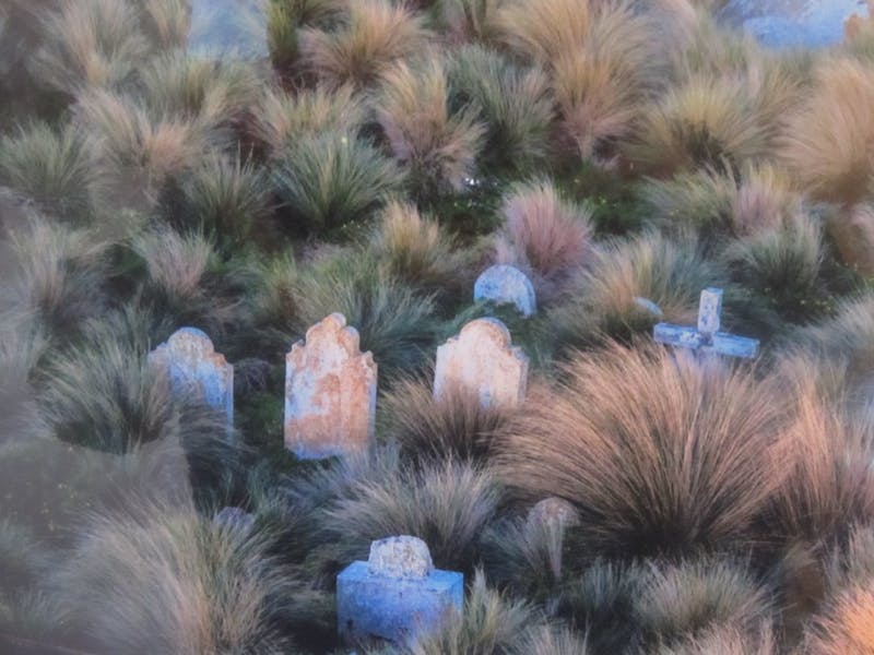 Lonely Graves of the Furneaux Islands Exhibition