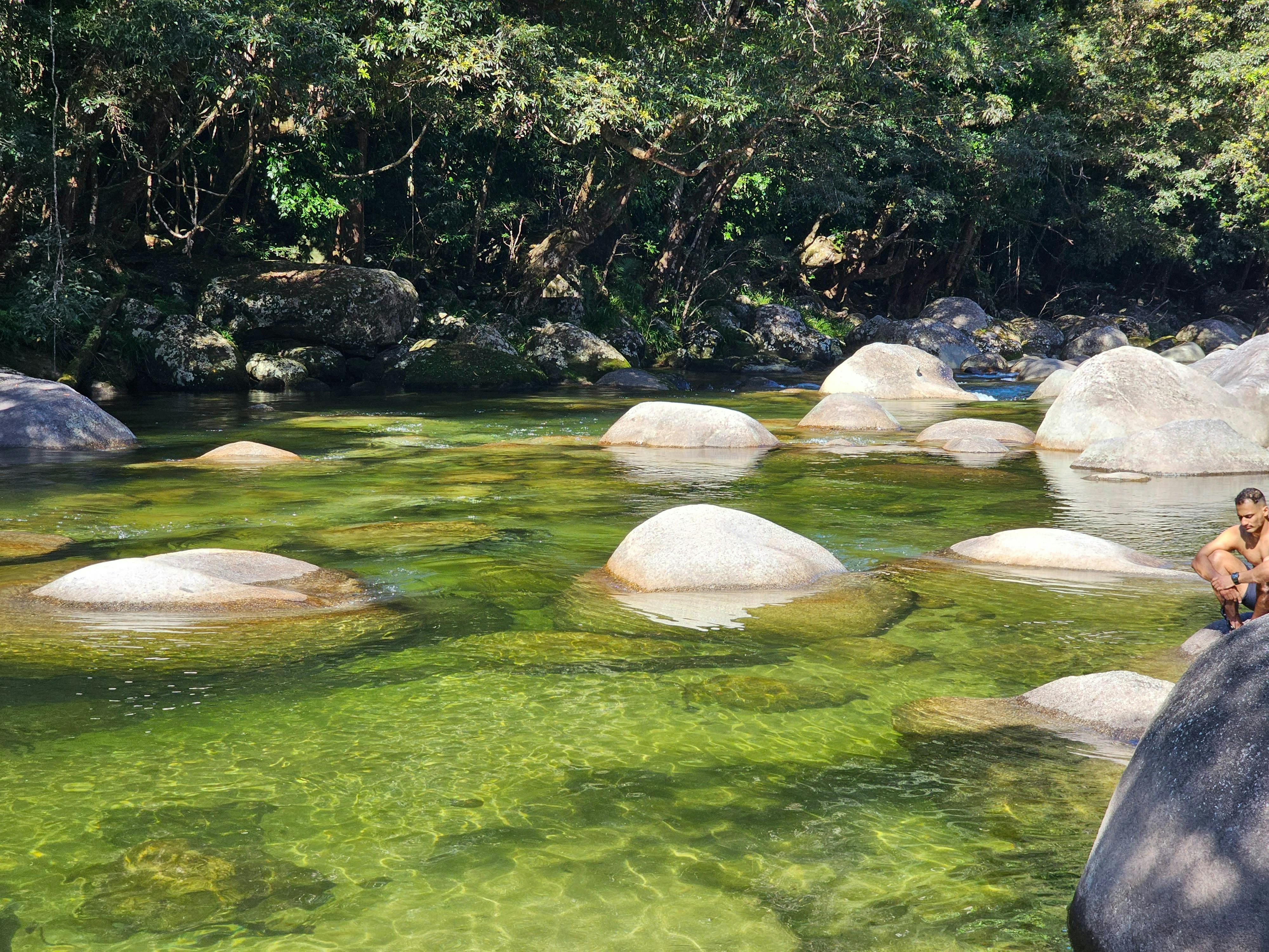 Swimming in the crystal clear waters of Mossman Gorge