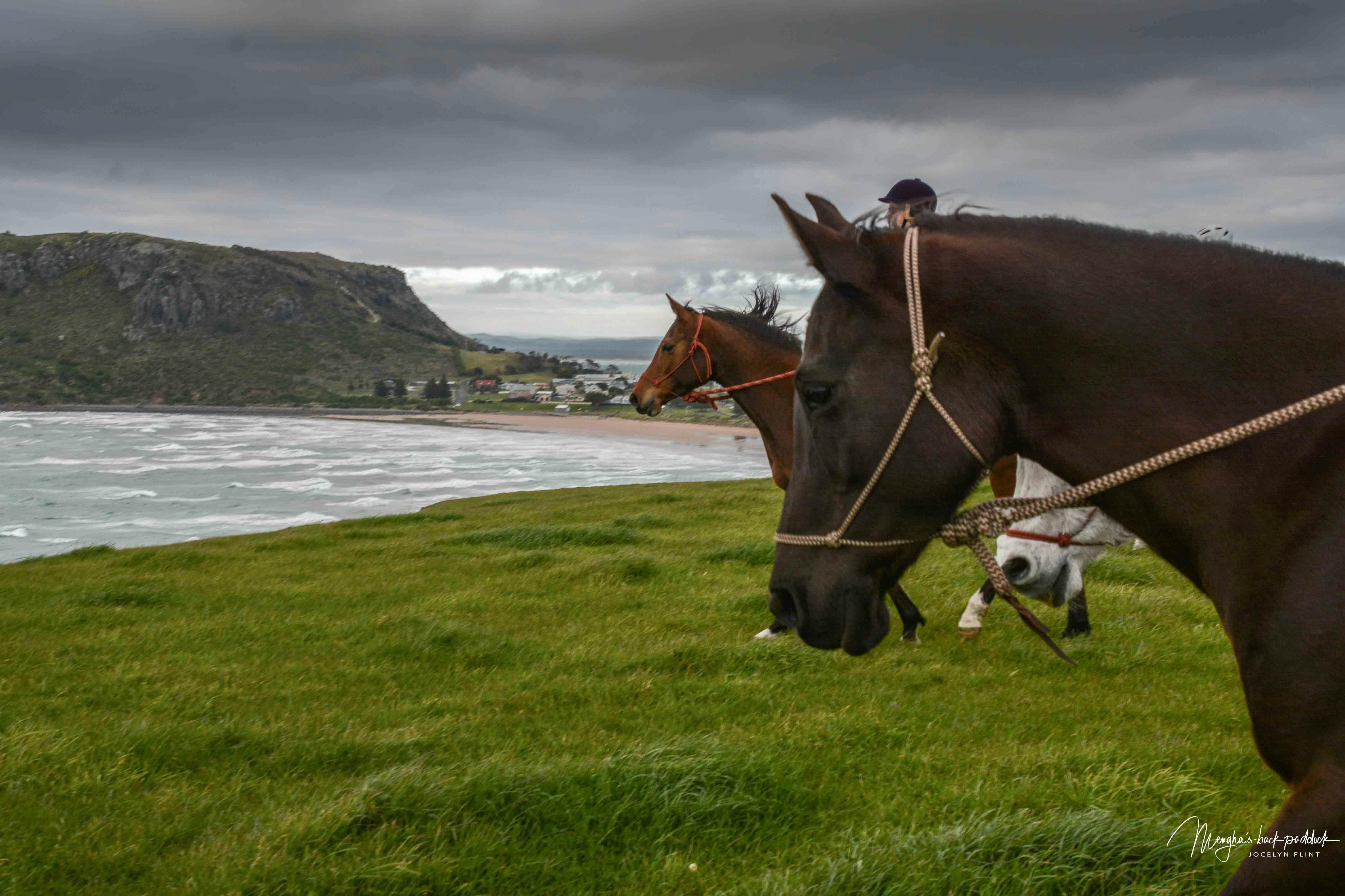 horse back holidays, horseriding on the beach, in the mountains