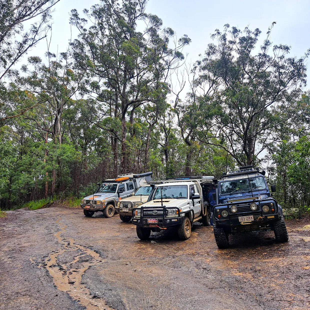 Back to Bush 4WD Day Trip
