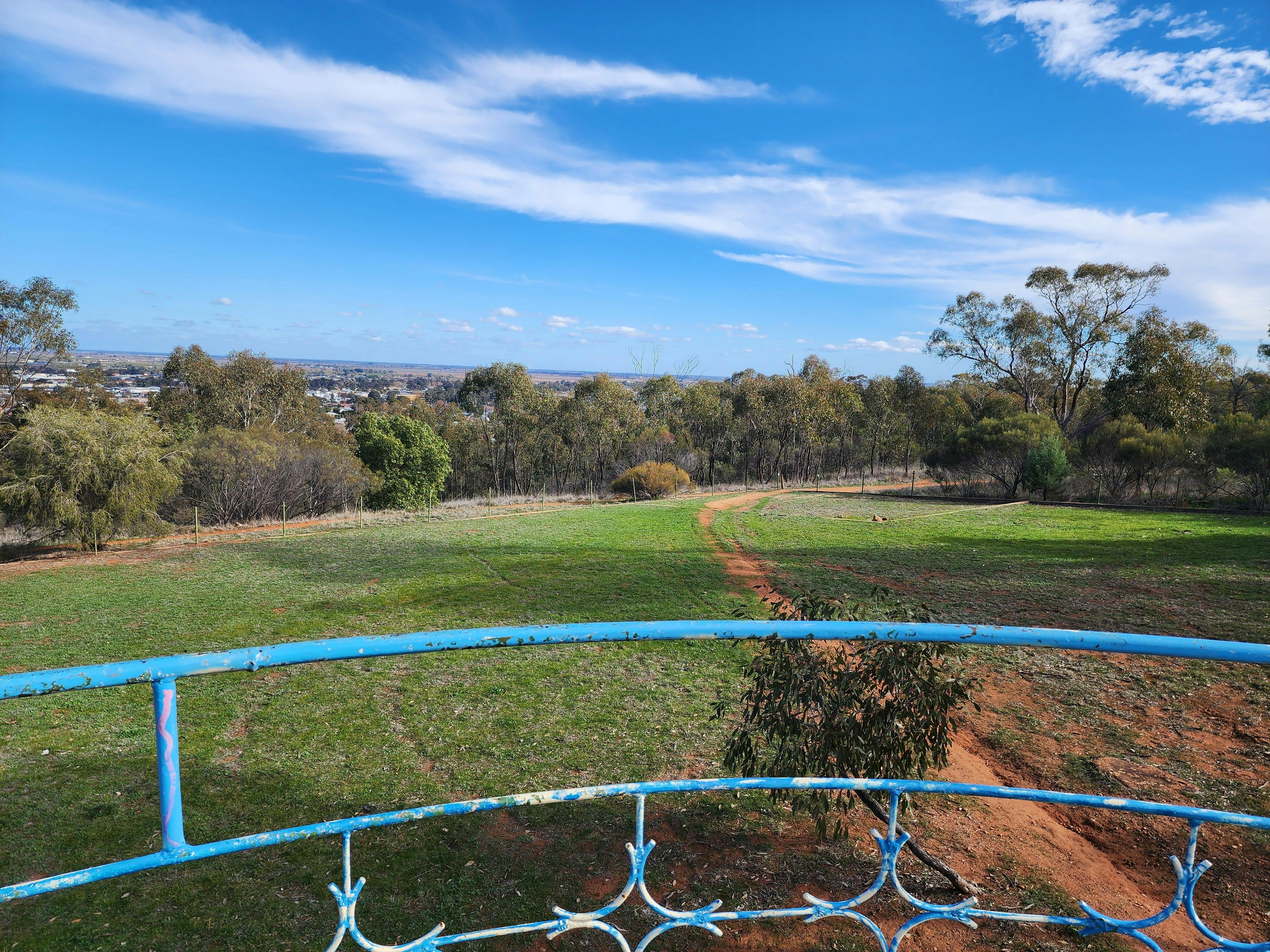 格里菲斯旋轉瞭望台