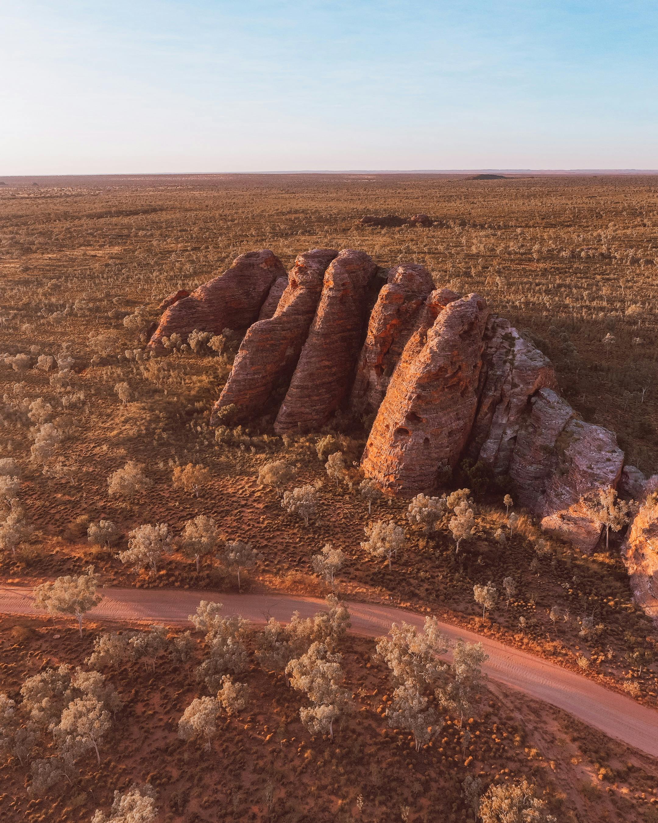 bungles