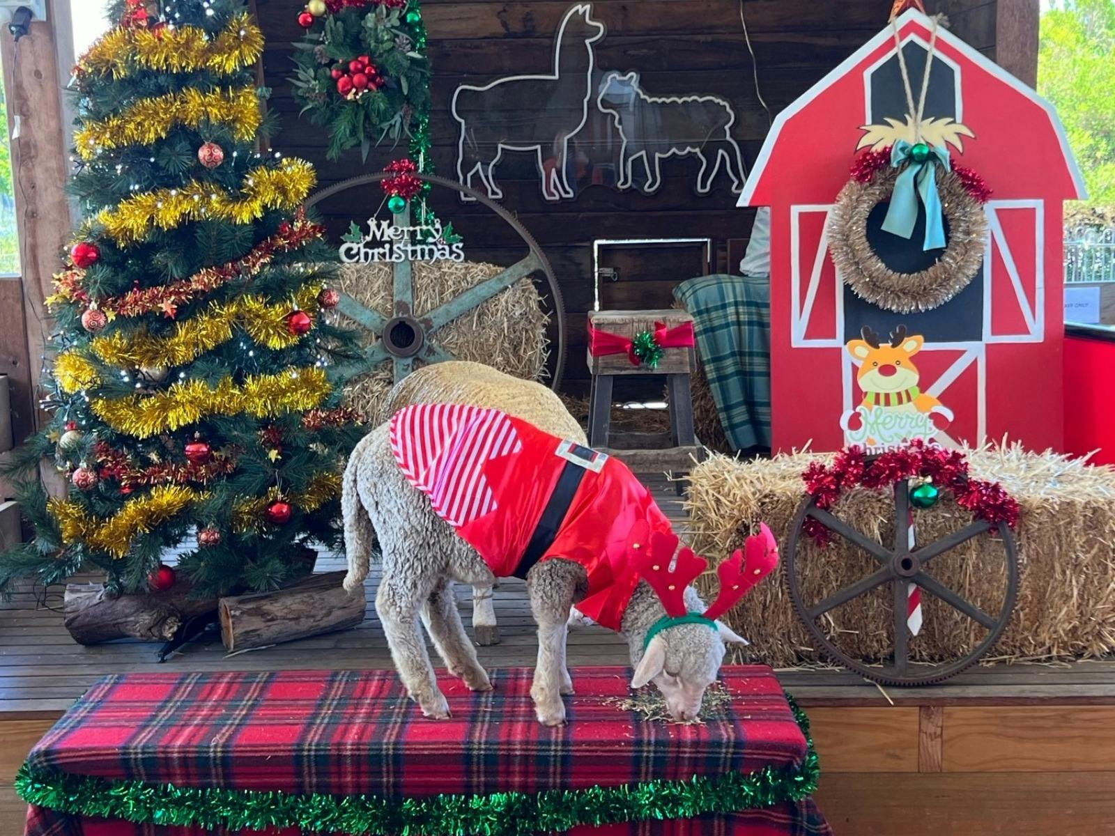 FARMER ELF HELPER