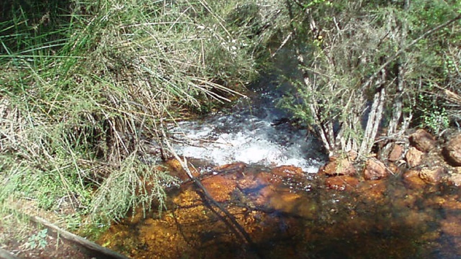 Hoffman Mill