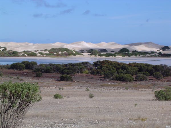 Lake Newland Conservation Park