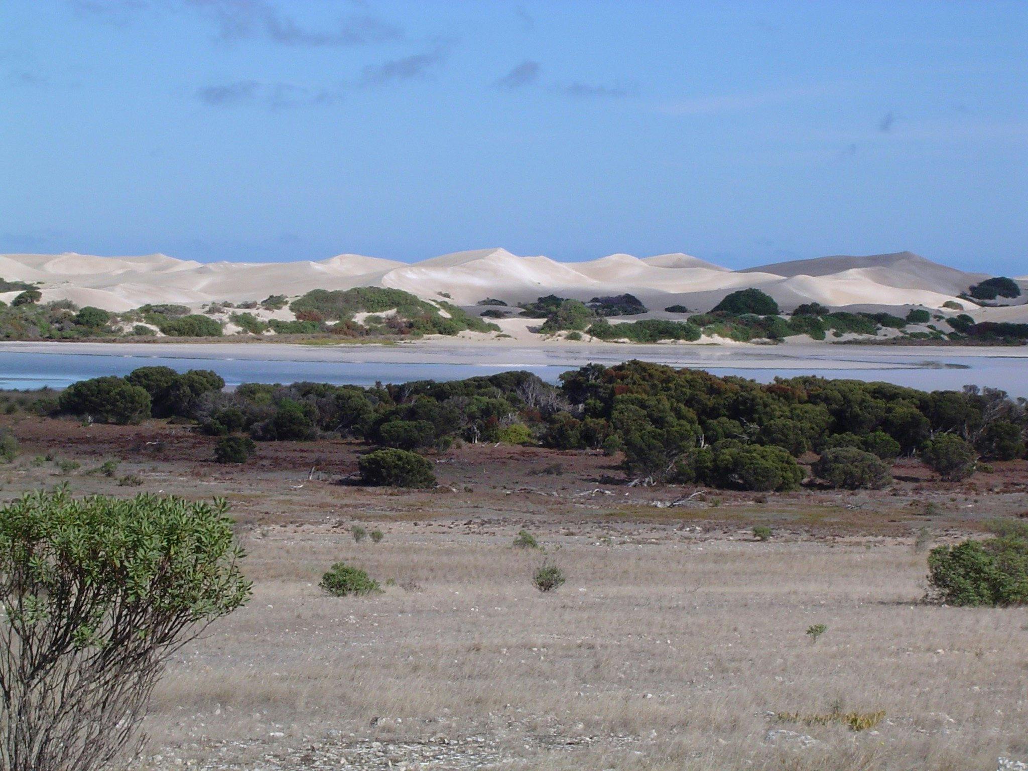 The natural saline lakes and surrounding coastal dunes of Lake Newland Conservation Park