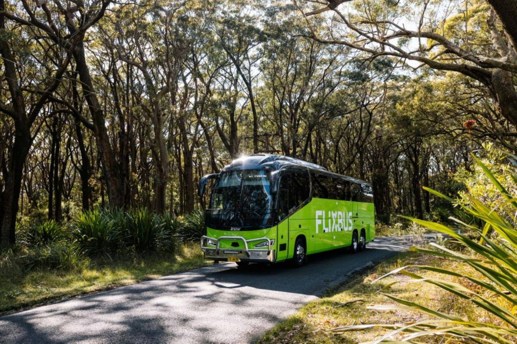 A green Flixbus on a road surrounded by bush.