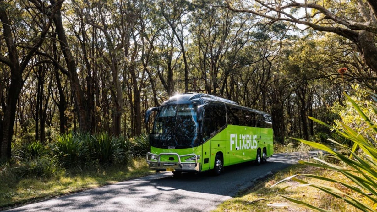A green Flixbus on a road surrounded by bush.