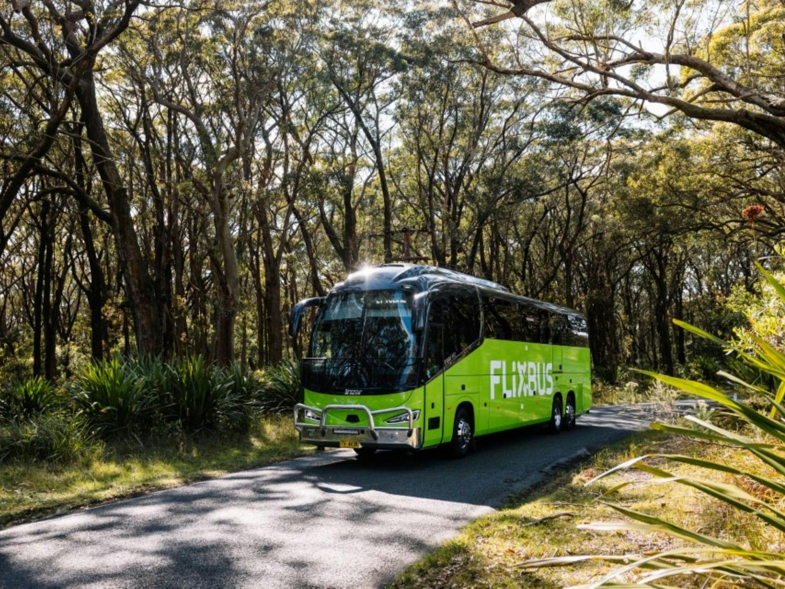 A green Flixbus on a road surrounded by bush. A green Flixbus on a road surrounded by bush.