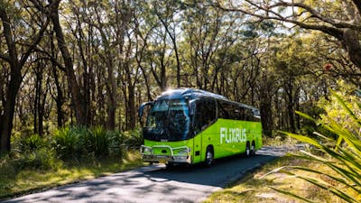 A green Flixbus on a road surrounded by bush.