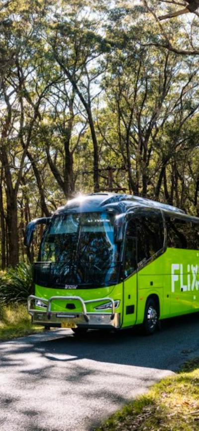 A green Flixbus on a road surrounded by bush.